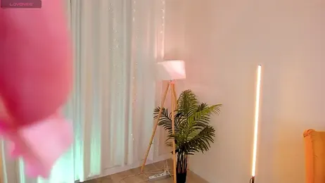 MilliMouse webcam model stream image