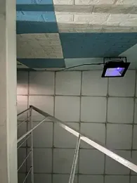 MEFUN- webcam model stream image