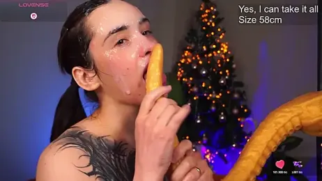 EvaCanton webcam model stream image