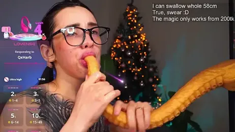 EvaCanton webcam model stream image