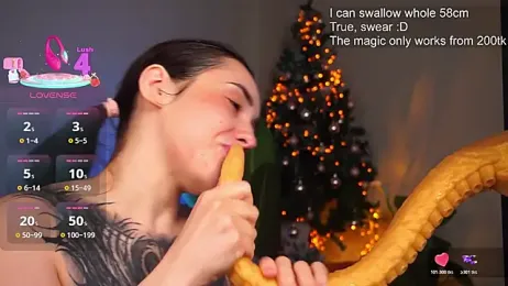 EvaCanton webcam model stream image