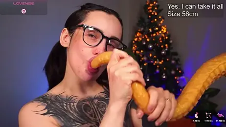 EvaCanton webcam model stream image