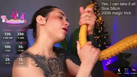 EvaCanton webcam model stream image