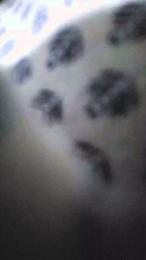 Atituderude webcam model stream image