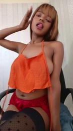 Vallilla webcam model stream image