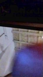 Castelliroman webcam model stream image