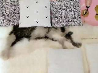 maryelle webcam camsoda model stream image