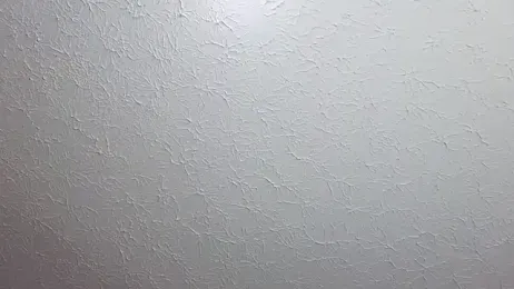 felipecams123 webcam model stream image