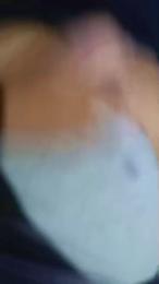 wimox webcam model stream image