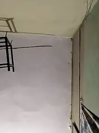 fantasticdickandballsss webcam model stream image