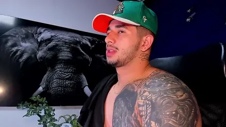 king_falconer webcam model stream image