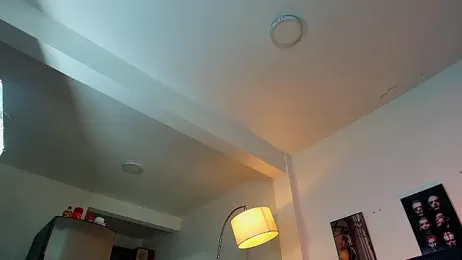 Baxter_Dex webcam stripchat model stream image