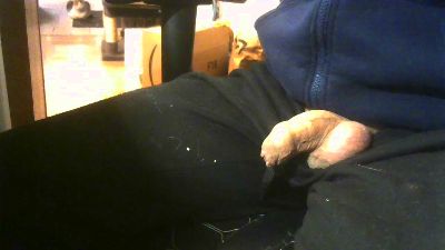 Zizi007 webcam model stream image