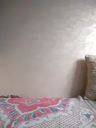 Dalou3a-69 webcam model stream image