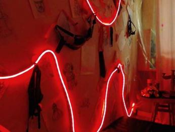 EDEM-ART webcam model stream image