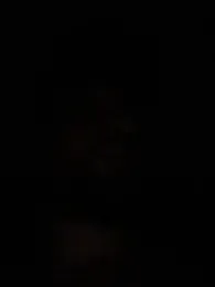 NinoEstouranel webcam model stream image