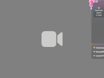 apex_cb webcam model stream image