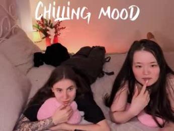 _3x7_ webcam model stream image