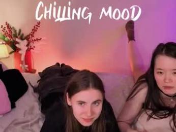 _3x7_ webcam model stream image