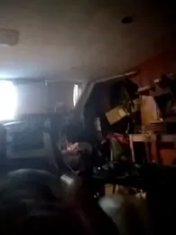 AceticPinscher webcam model stream image