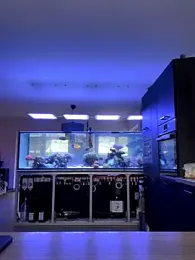 newMichelle webcam model stream image