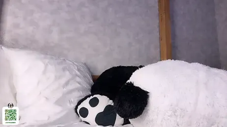 notecarret webcam model stream image