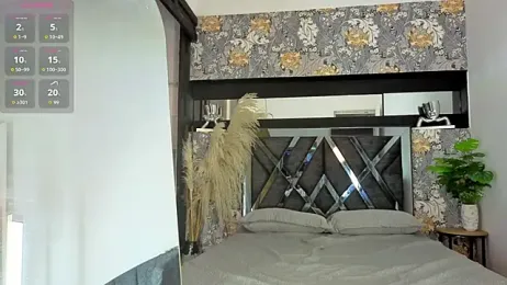 ryo_light webcam model stream image