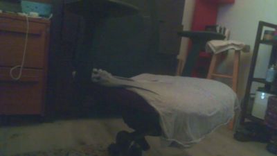 gofire1964 webcam cam4 model stream image