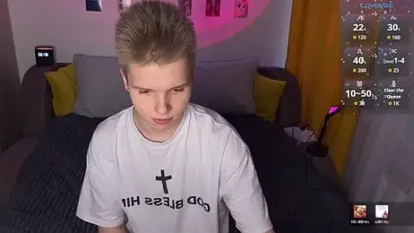 metarion webcam model stream image