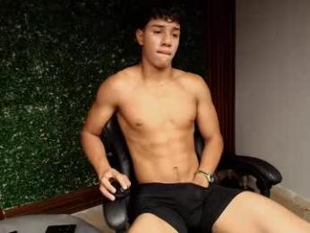 damon_sw webcam model stream image