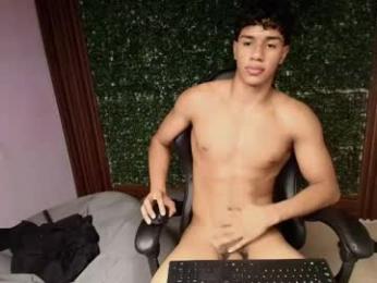 damon_sw webcam model stream image
