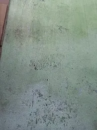 Tamilselviroja- webcam model stream image