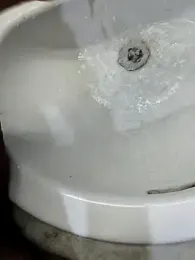 ZxRafaBr webcam model stream image