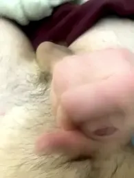 Aotearoa2 webcam model stream image