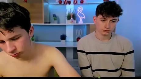 veldi_to webcam model stream image