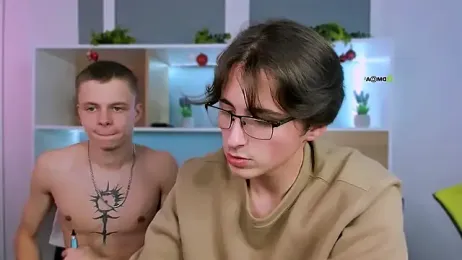 veldi_to webcam model stream image