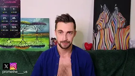 Promethe_us webcam model stream image