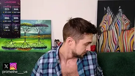 Promethe_us webcam model stream image