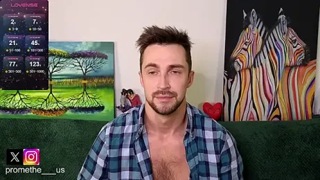 Promethe_us webcam model stream image