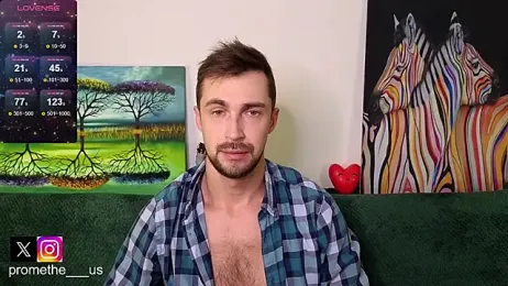 Promethe_us webcam model stream image