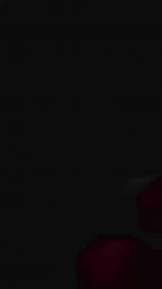 Brichula webcam model stream image