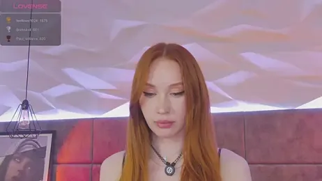 MayaSolar webcam model stream image