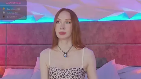 MayaSolar webcam model stream image