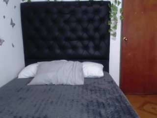 isa06 webcam model stream image