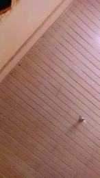 virginpussy56 webcam model stream image