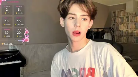 winsdor webcam model stream image