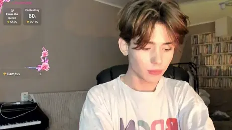 winsdor webcam model stream image