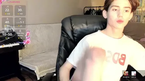 winsdor webcam model stream image