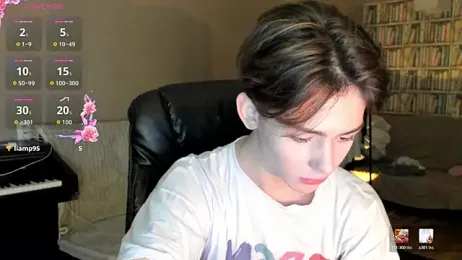 winsdor webcam model stream image