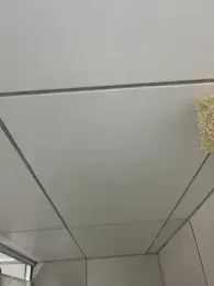 MateusBH123 webcam stripchat model stream image